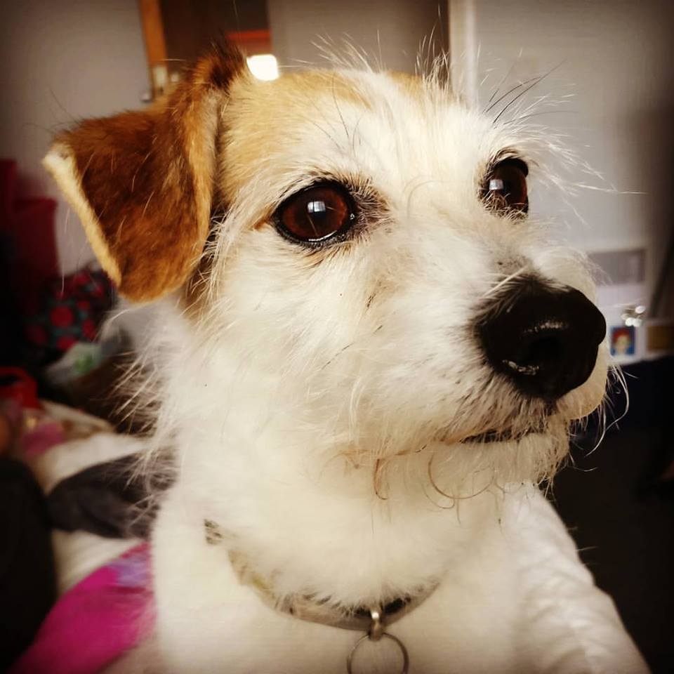 billy